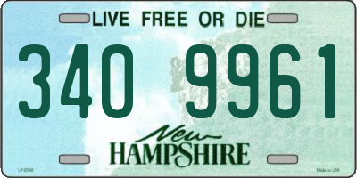 NH license plate 3409961