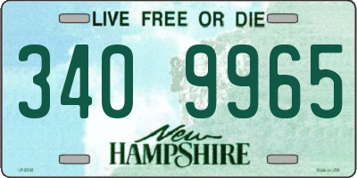 NH license plate 3409965
