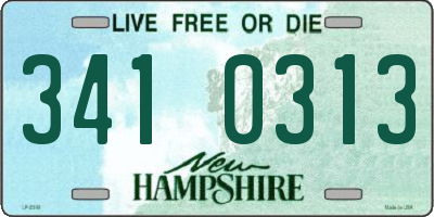 NH license plate 3410313