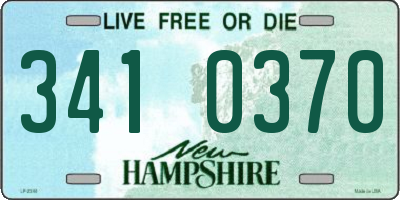 NH license plate 3410370
