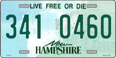 NH license plate 3410460