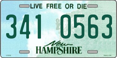 NH license plate 3410563
