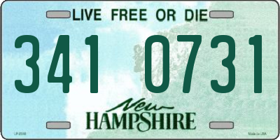 NH license plate 3410731