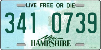 NH license plate 3410739