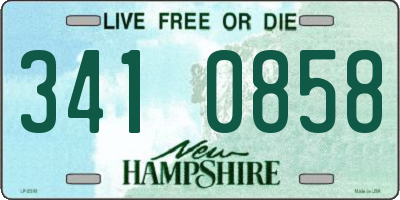 NH license plate 3410858
