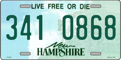 NH license plate 3410868