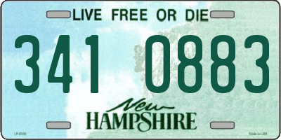 NH license plate 3410883