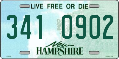 NH license plate 3410902