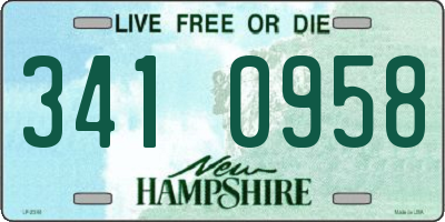 NH license plate 3410958