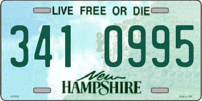 NH license plate 3410995