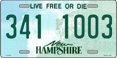 NH license plate 3411003