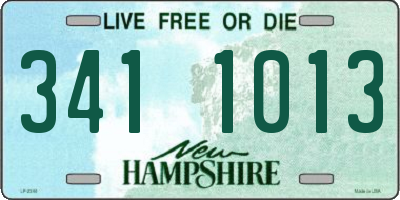 NH license plate 3411013