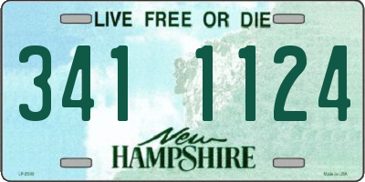 NH license plate 3411124