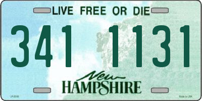 NH license plate 3411131