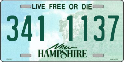 NH license plate 3411137