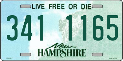 NH license plate 3411165