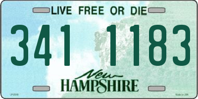 NH license plate 3411183