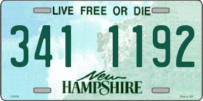 NH license plate 3411192