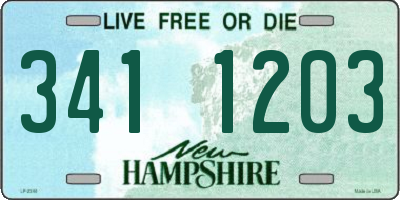 NH license plate 3411203