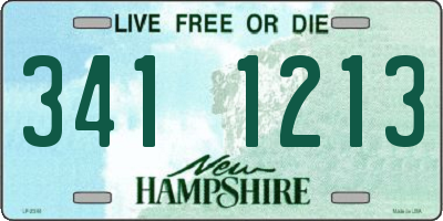 NH license plate 3411213