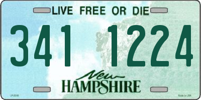 NH license plate 3411224
