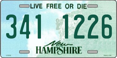 NH license plate 3411226
