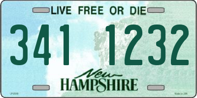 NH license plate 3411232
