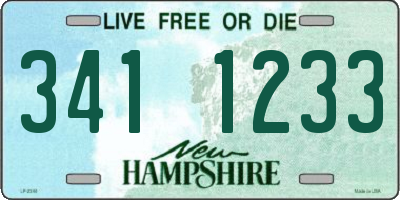NH license plate 3411233
