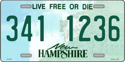 NH license plate 3411236