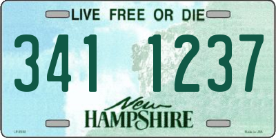 NH license plate 3411237