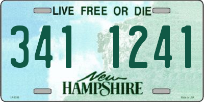 NH license plate 3411241