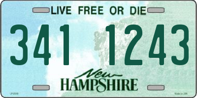 NH license plate 3411243