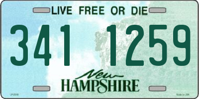 NH license plate 3411259
