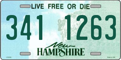 NH license plate 3411263