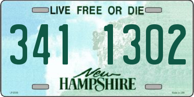 NH license plate 3411302