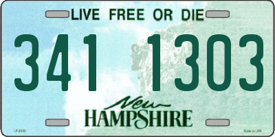 NH license plate 3411303