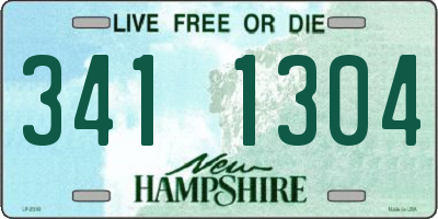 NH license plate 3411304