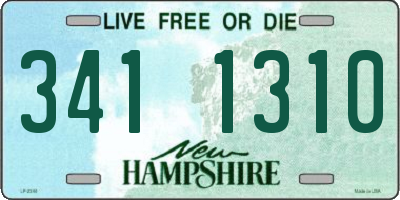 NH license plate 3411310