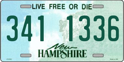 NH license plate 3411336