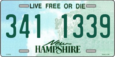 NH license plate 3411339
