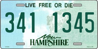 NH license plate 3411345