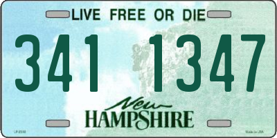 NH license plate 3411347