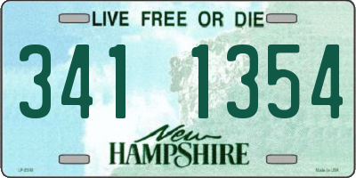 NH license plate 3411354