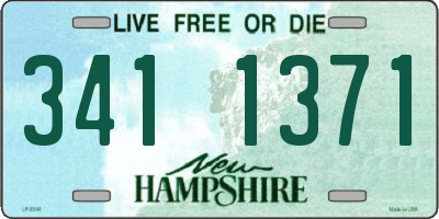 NH license plate 3411371