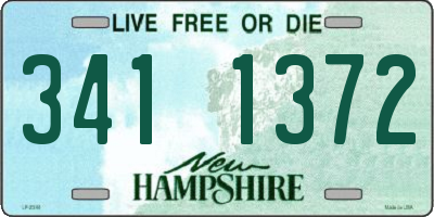 NH license plate 3411372