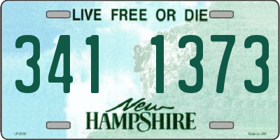 NH license plate 3411373
