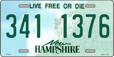 NH license plate 3411376