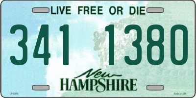 NH license plate 3411380