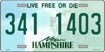 NH license plate 3411403