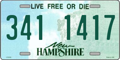 NH license plate 3411417